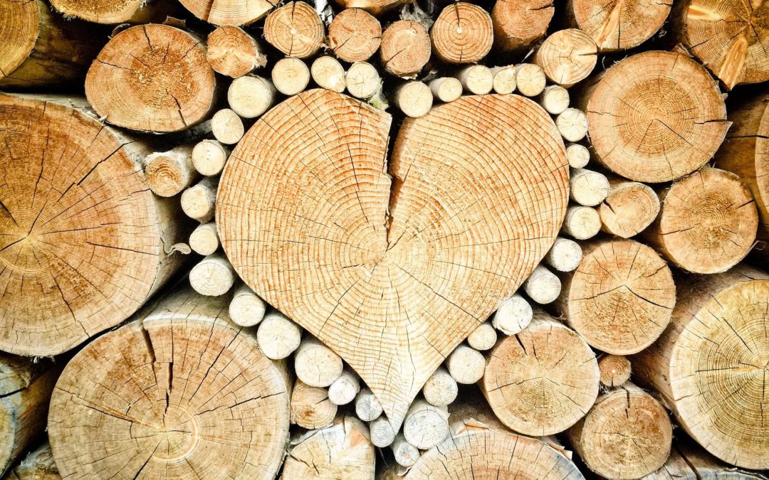 ¿De dónde viene la madera que utilizamos?